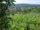 Feuerbach 08.06.2025 11:58