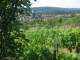 Feuerbach 12.06.2025 11:58