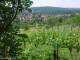 Feuerbach 14.06.2025 11:58