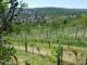 Feuerbach 10.05.2025 11:58
