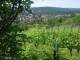 Feuerbach 14.06.2025 11:58