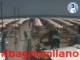 Cesenatico 02.07.2025 11:47