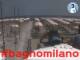 Cesenatico 10.06.2025 11:47