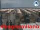 Césenatico 15.06.2025 11:47
