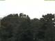 Parkstein 08.06.2025 11:58
