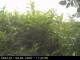 Presseggersee 09.06.2025 11:47