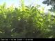 Presseggersee 15.06.2025 11:47