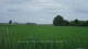 't Zandt 15.06.2025 11:58
