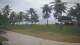 Malolo Lailai 13.07.2025 11:08
