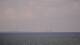 Saint-Gildas-de-Rhuys 07.05.2026 11:08