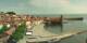 Collioure 24.03.2025 11:59