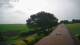 Schwinge 08.06.2025 11:59