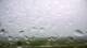 Punta Gorda, Florida 16.05.2025 11:59