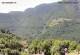 Monte Finonchio 15.06.2025 11:47