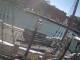 Boston, Massachusetts 11.05.2025 11:59