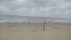 Bredene 05.07.2025 11:47