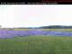 Cornwall 17.05.2025 11:00