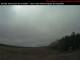 Digby 08.07.2025 11:00