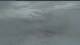 Spitsbergen - Ny-Ålesund 09.06.2025 11:01