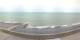 Pourville 08.06.2025 11:01