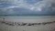Diani Beach 01.07.2025 11:01
