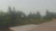 Medina, Washington 04.08.2026 11:16