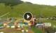 Livigno 03.07.2025 11:01