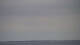 Borkum 11.07.2025 11:01