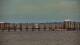 Bokeelia, Florida 24.06.2025 11:01