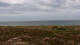 Kampen (Sylt) 15.06.2025 11:03