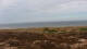 Kampen (Sylt) 30.04.2025 11:03