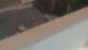 Colorado Springs, Colorado 29.04.2025 11:19