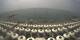Pietra Ligure 14.06.2025 11:47