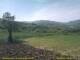 Cantalupo Ligure 30.04.2025 11:04
