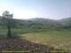 Cantalupo Ligure 30.04.2025 11:04