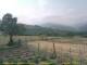 Cantalupo Ligure 09.06.2025 11:04