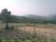 Cantalupo Ligure 09.06.2025 11:04