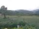 Cantalupo Ligure 06.07.2025 11:04