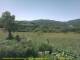 Cantalupo Ligure 07.07.2025 11:04
