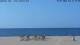 Isla Canela 26.07.2026 11:13