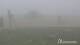 Brocken 09.06.2025 11:04