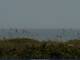 Cape Canaveral, Florida 08.07.2025 11:47
