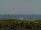 Cape Canaveral, Florida 09.07.2025 11:47