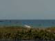 Cape Canaveral, Florida 10.07.2025 11:47