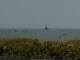 Cape Canaveral, Florida 08.06.2025 11:47