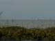 Cape Canaveral, Florida 16.05.2025 11:47