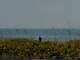 Cape Canaveral, Florida 20.05.2025 11:47