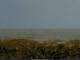 Cape Canaveral, Florida 29.04.2025 11:47