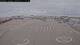 Norddeich 12.07.2025 11:05