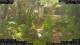 Nakhon Ratchasima (Korat) 09.06.2025 11:47